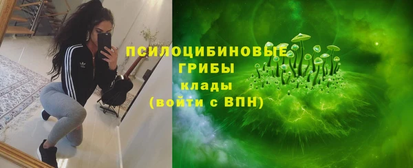 а пвп мука Алзамай